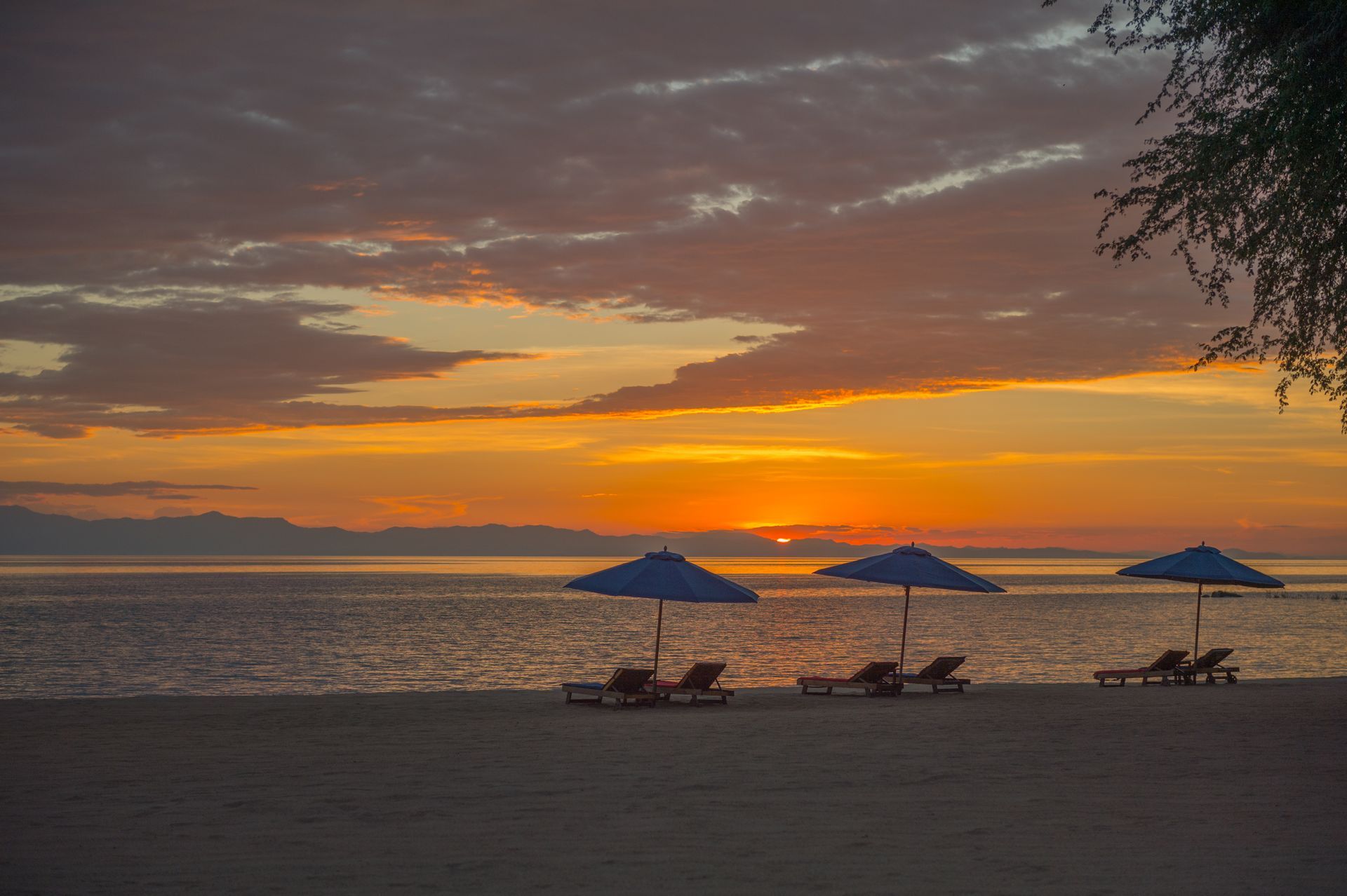 There are umbrellas and chairs on the beach at sunset.