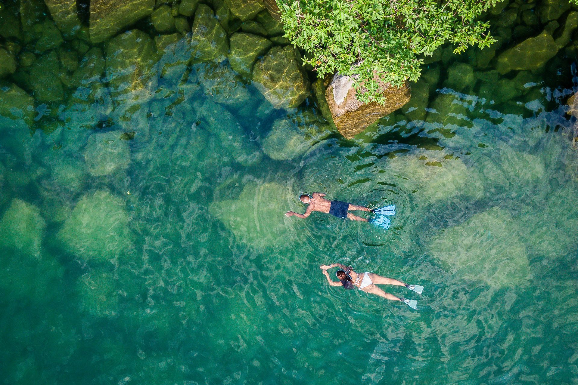 An aerial view of two people swimming in the ocean.