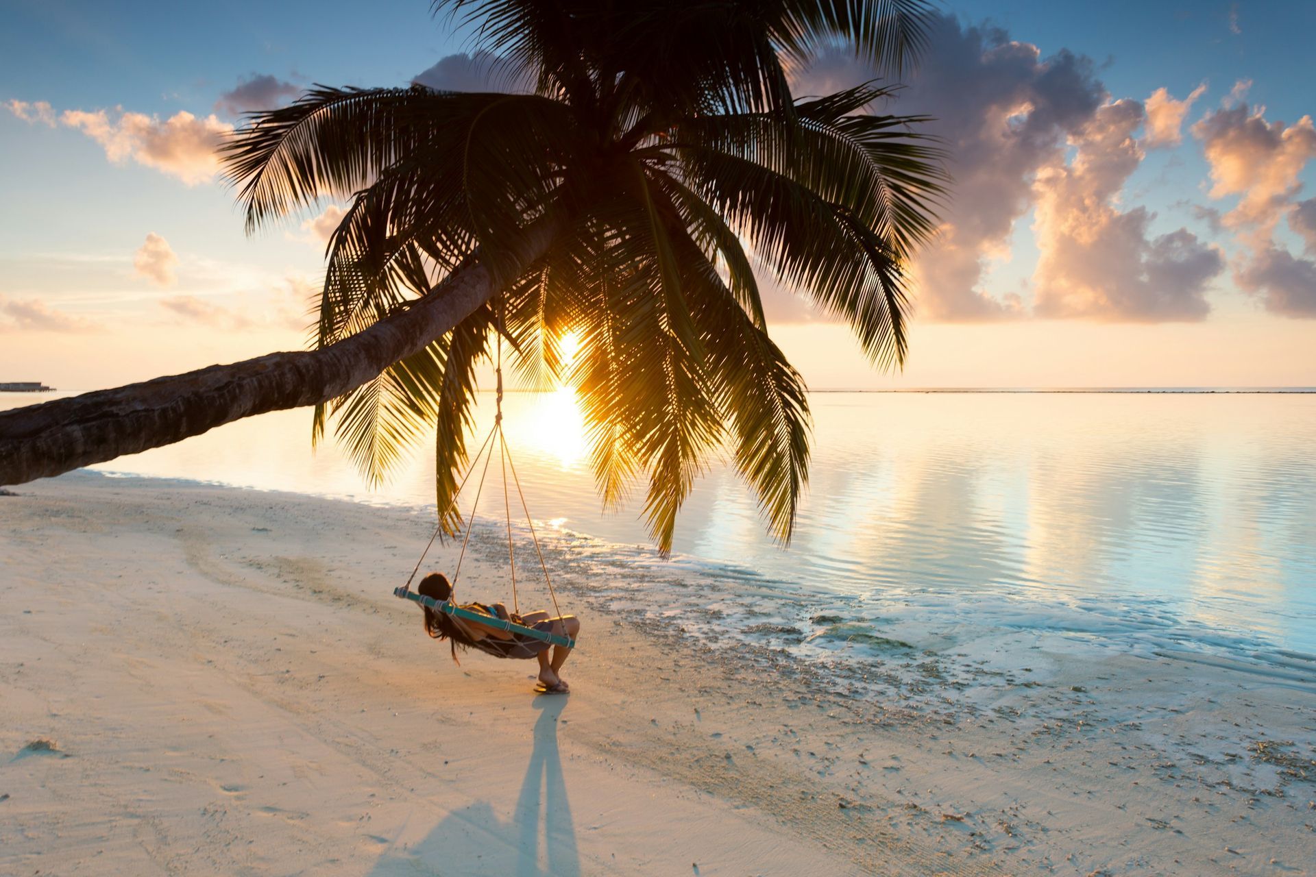A person is laying under a palm tree on a beach at sunset.