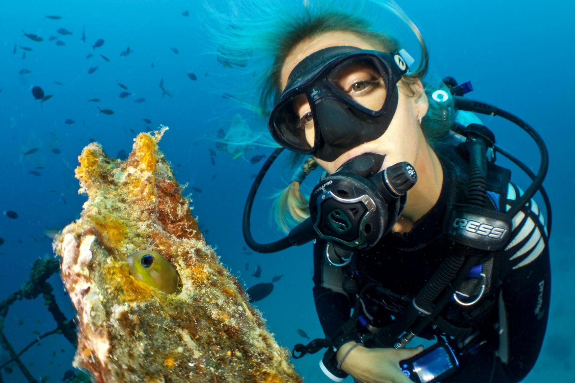 A scuba diver is looking at a fish in the ocean