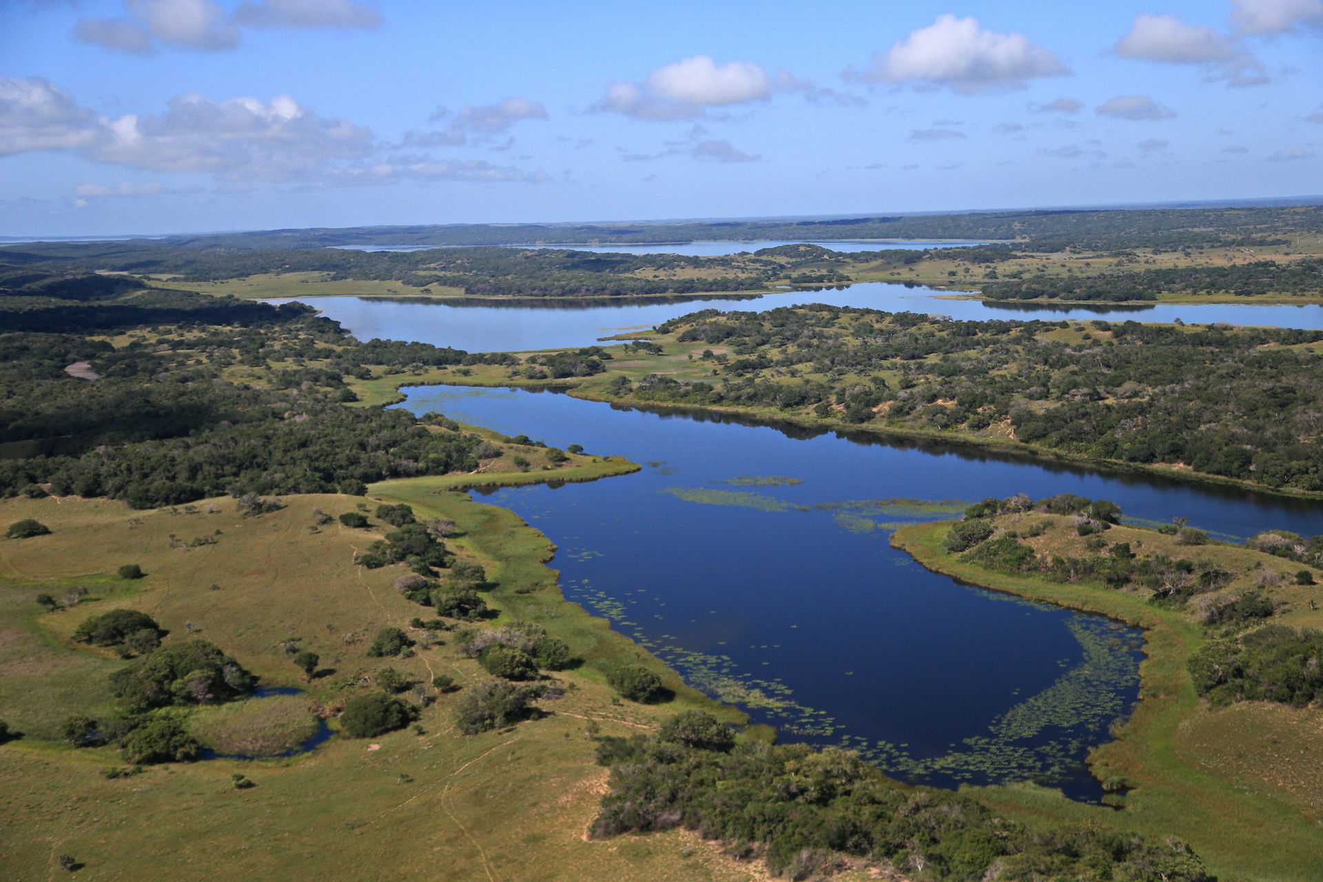 An aerial view of a large body of water surrounded by trees and grass.