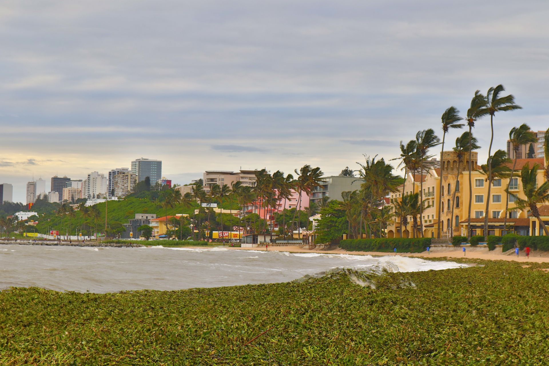 A beach with palm trees and buildings in the background