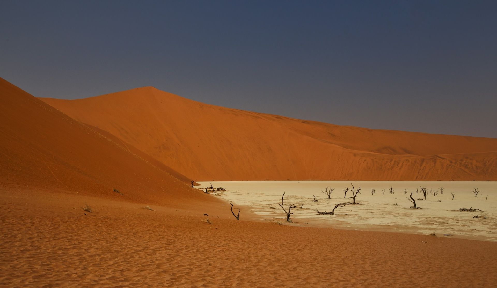 A desert landscape with a large sand dune in the background
