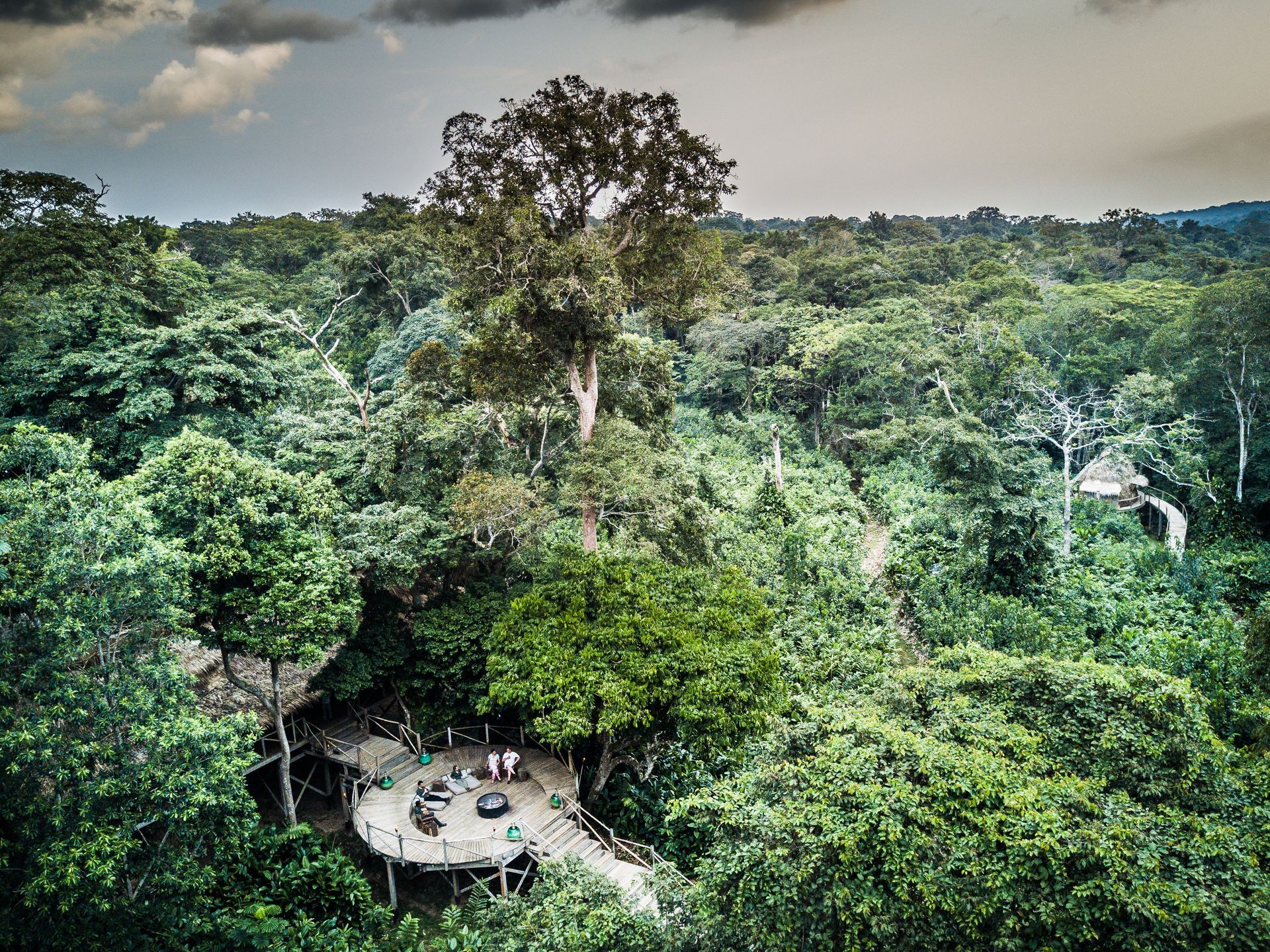 An aerial view of a tree house in the middle of a lush green forest.