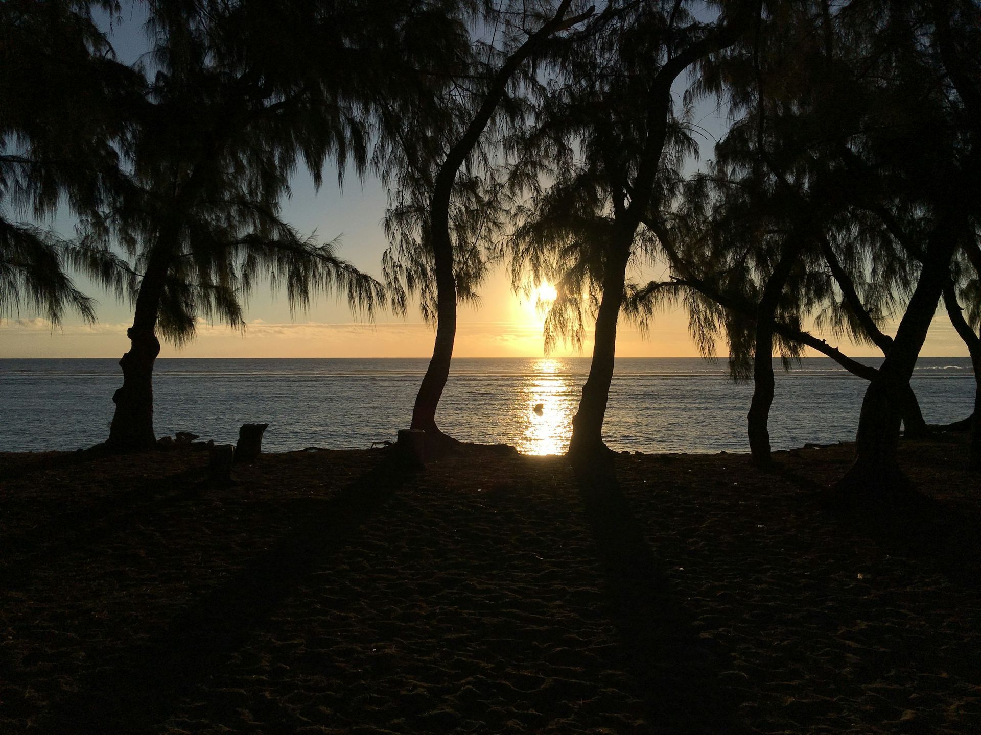 A sunset over a body of water with trees in the foreground