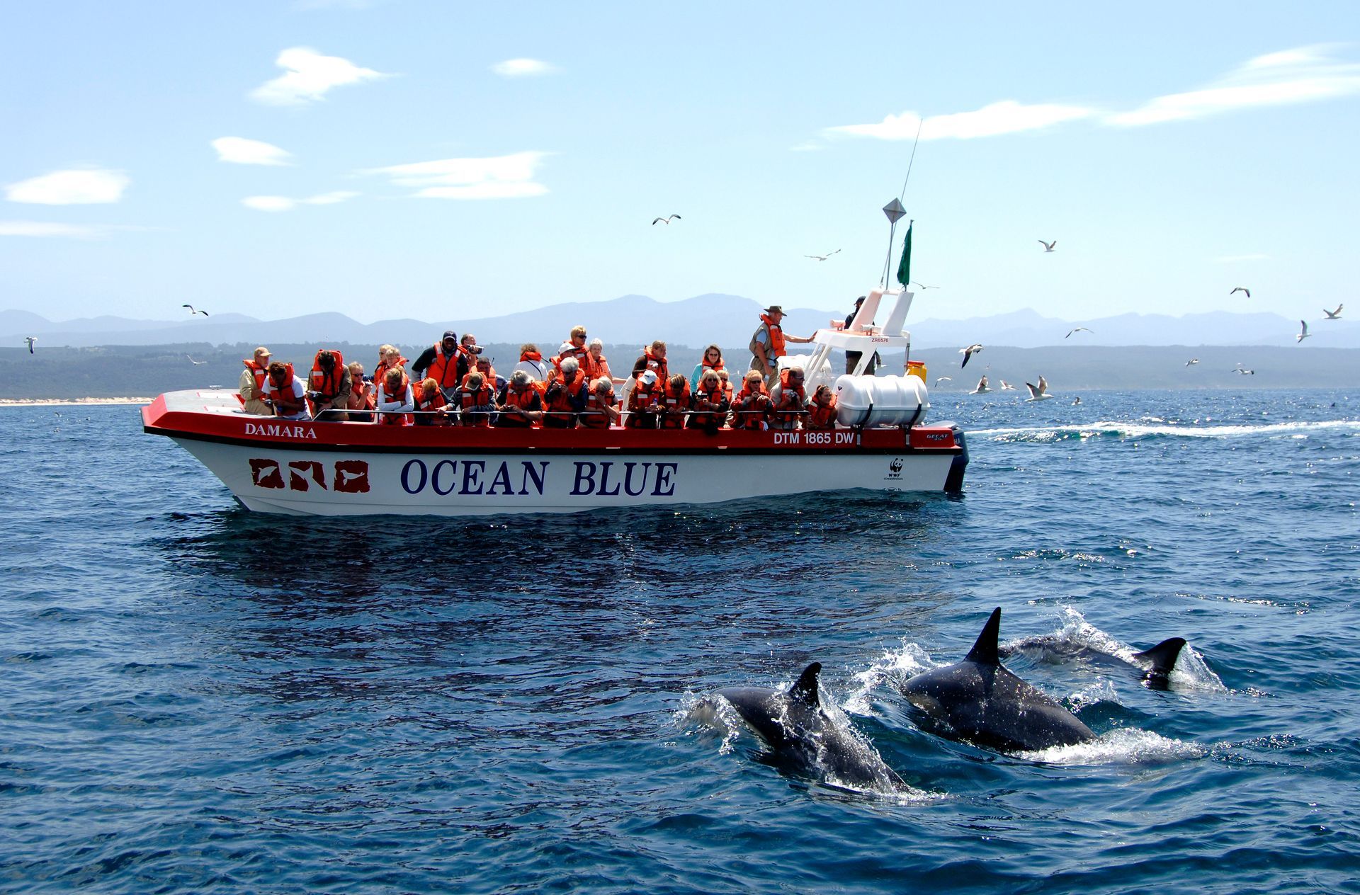 A boat with the word ocean blue on it