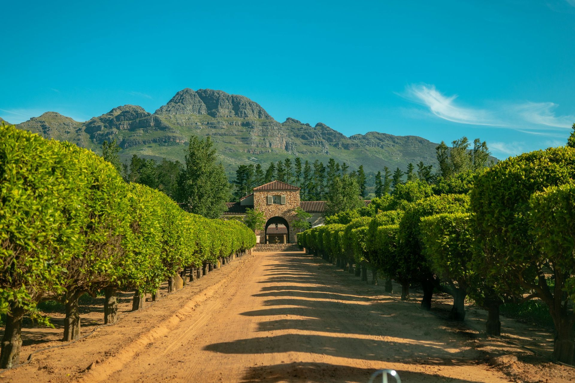 A dirt road lined with trees and mountains in the background.