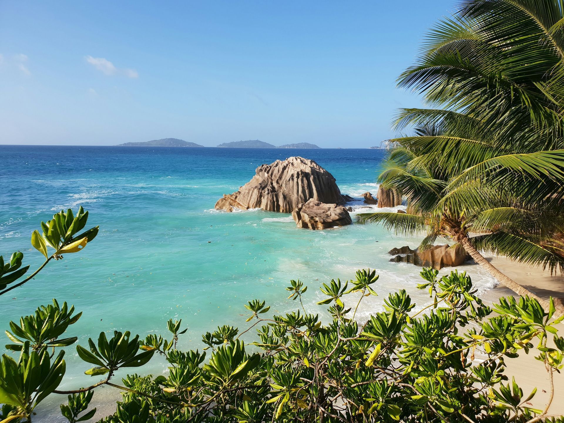 A beach with palm trees and a large rock in the water