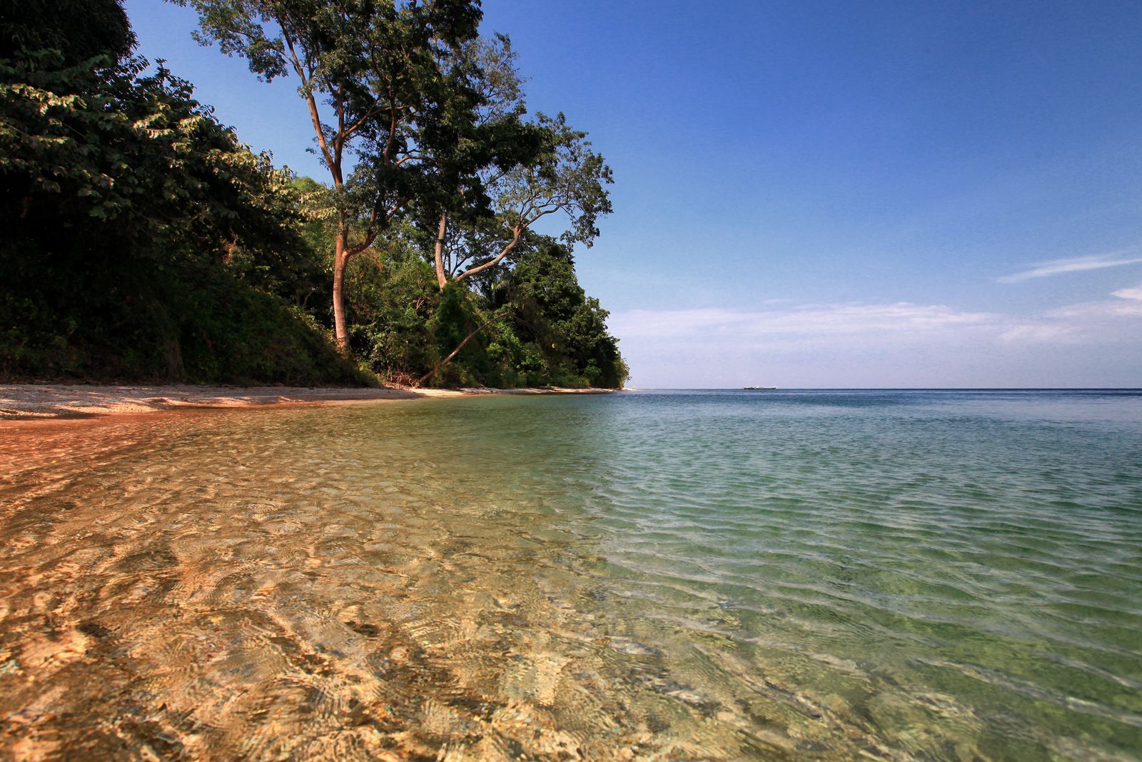 A beach with clear water and trees on the shore