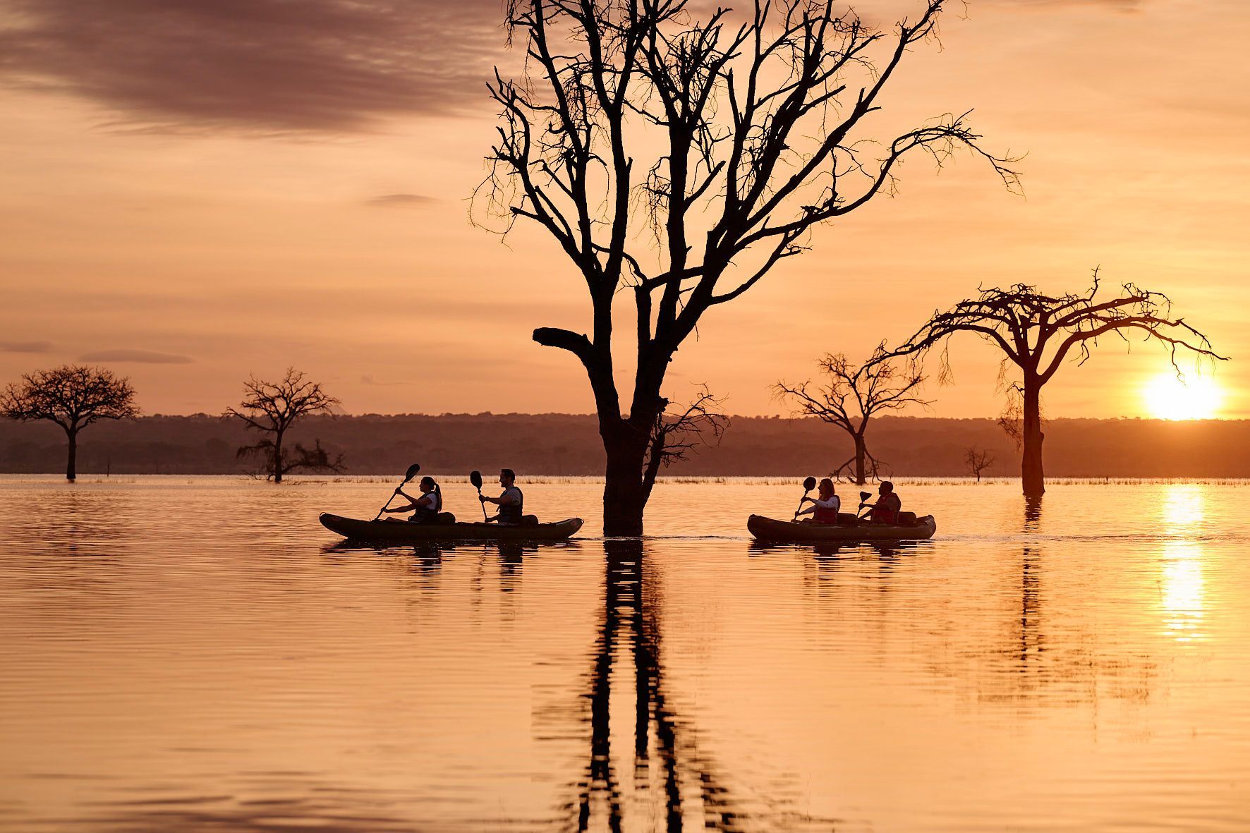 A group of people are rowing kayaks in a lake at sunset.