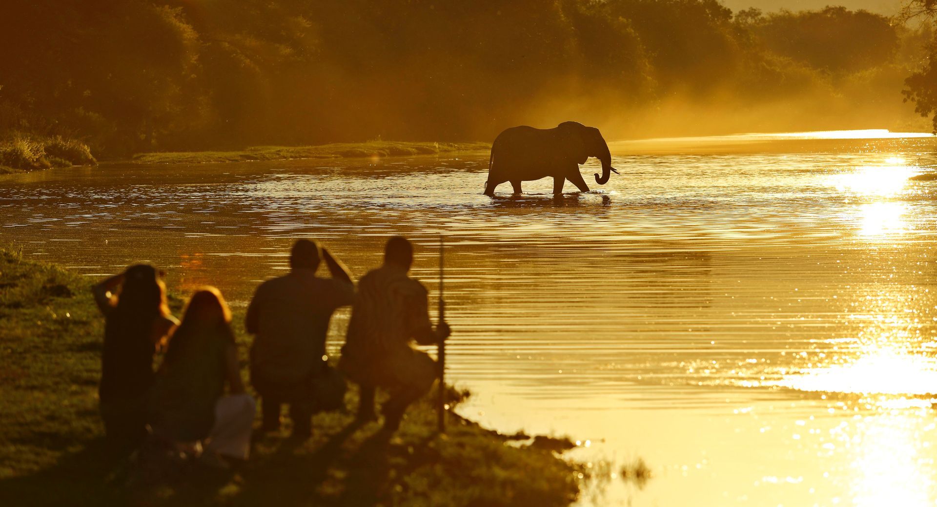 A group of people are watching an elephant cross a river at sunset.