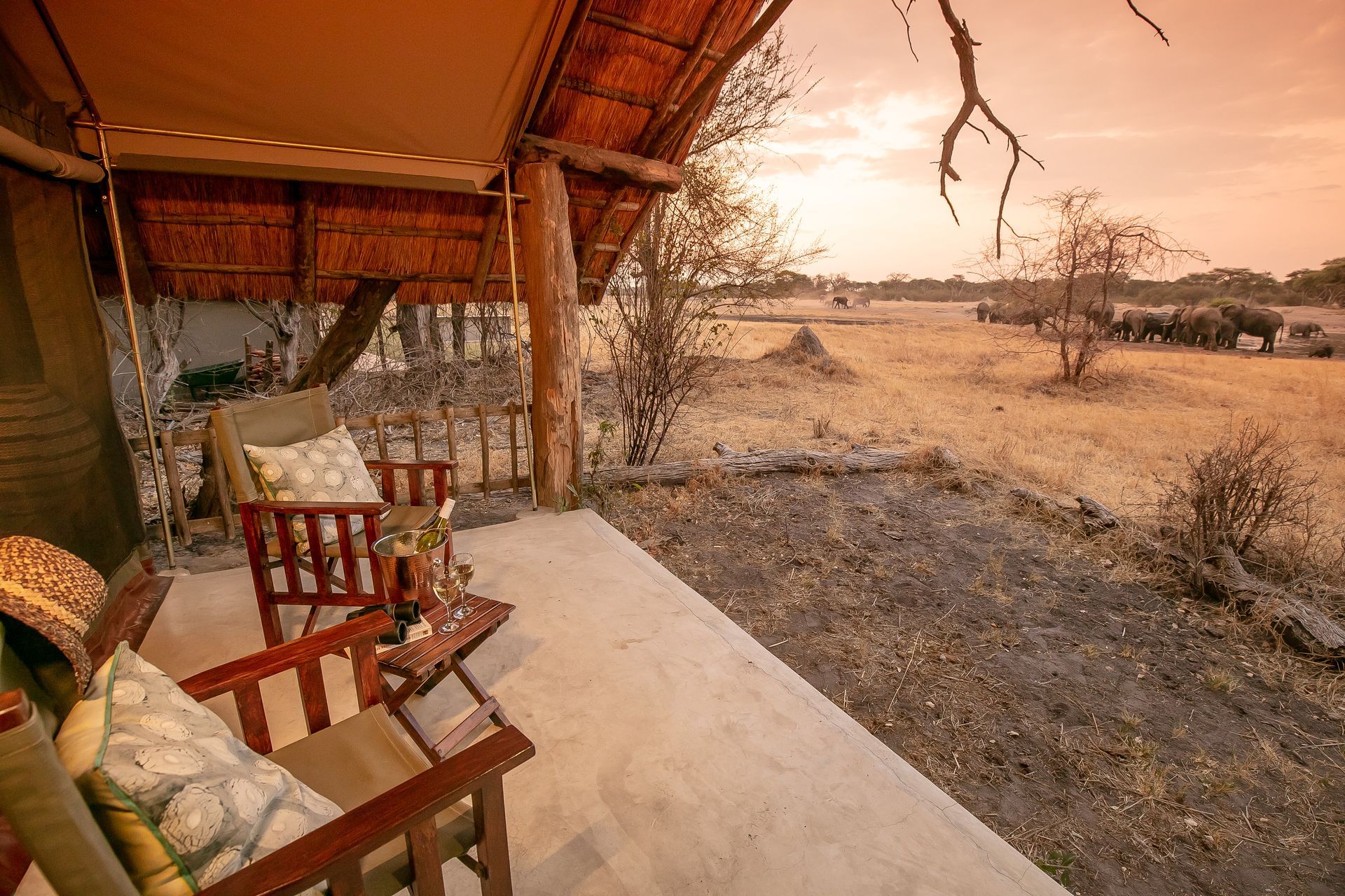 A porch with chairs and a table with elephants in the background.
