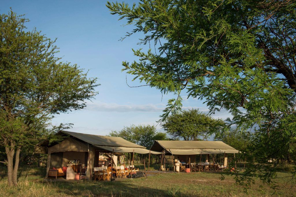 A group of tents are sitting in the middle of a field surrounded by trees.