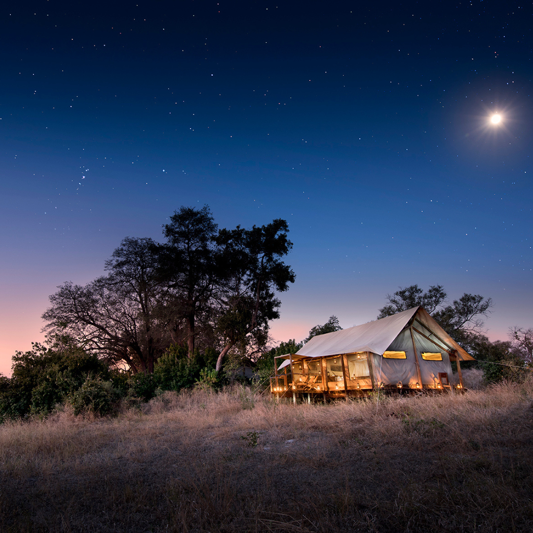 A glowing, illuminated tented camp sits in a dry, grassy landscape under a deep blue twilight sky filled with stars.