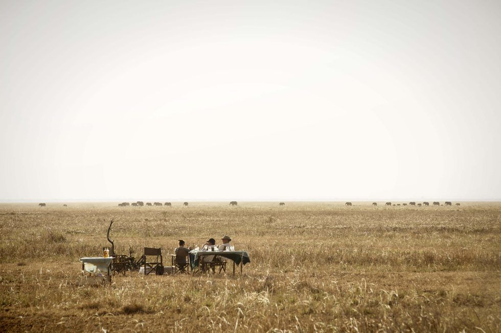 A group of people are sitting at a table in the middle of a field.