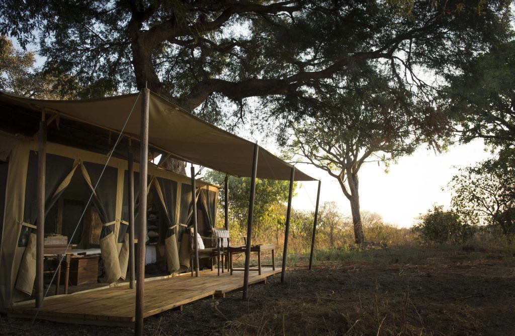 A tent with a canopy is surrounded by trees