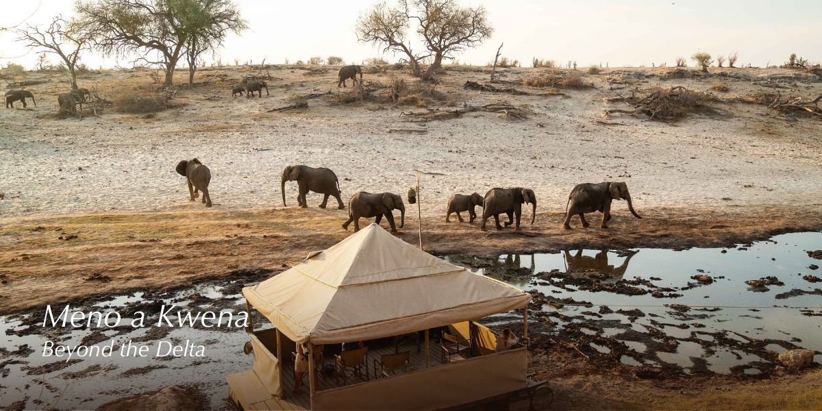 Luxury safari tent overlooking Botswana's Boteti River.