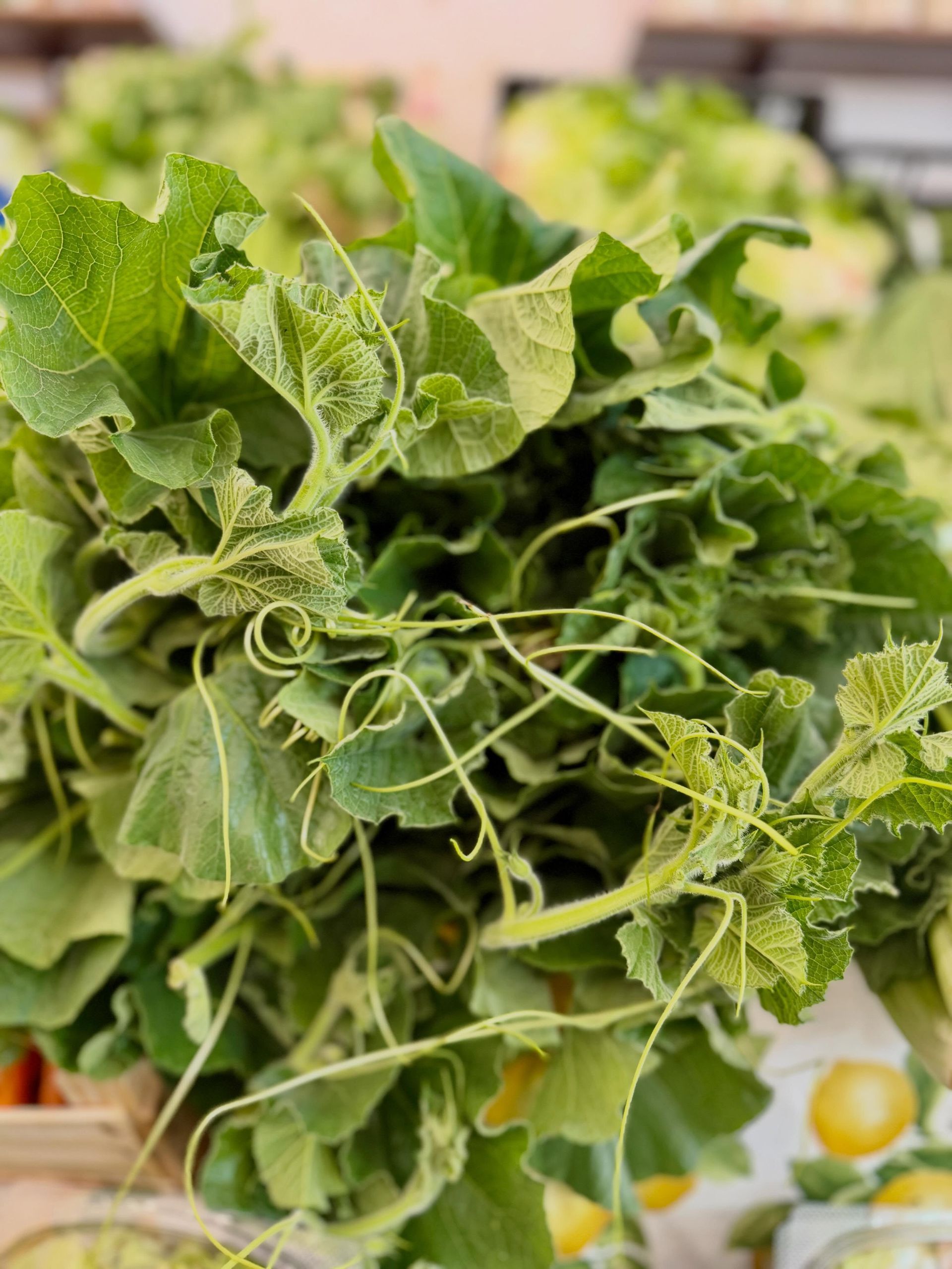 Fresh bunch of green leafy vegetables with tendrils on a market stall