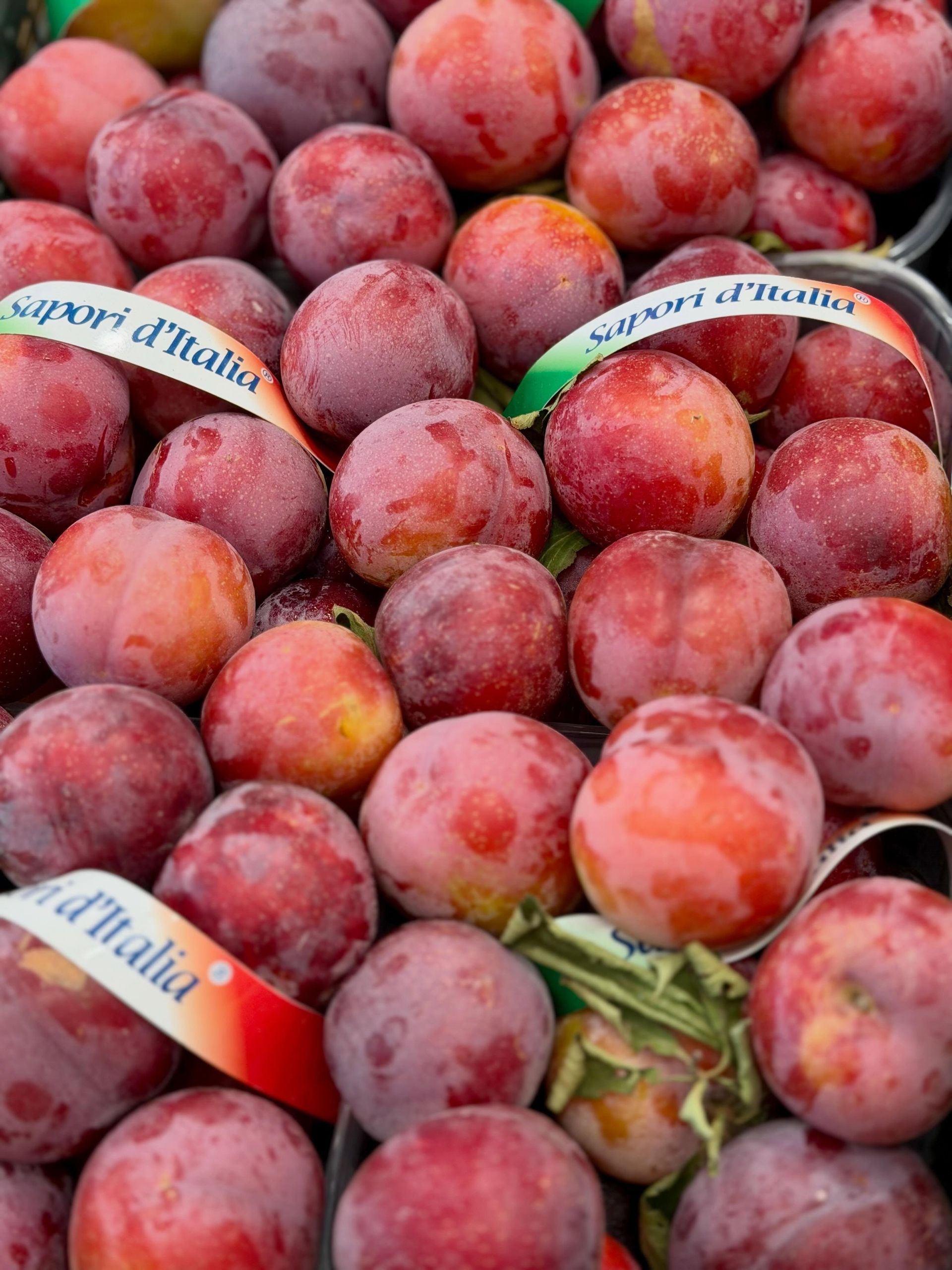Red plums piled together with Italian tricolor ribbons wrapped among them
