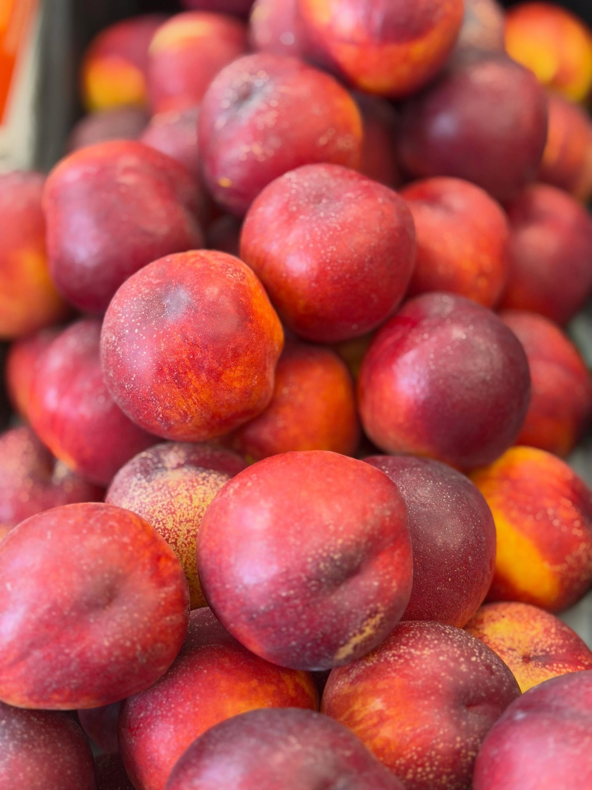 Pile of ripe red and orange nectarines stacked closely together