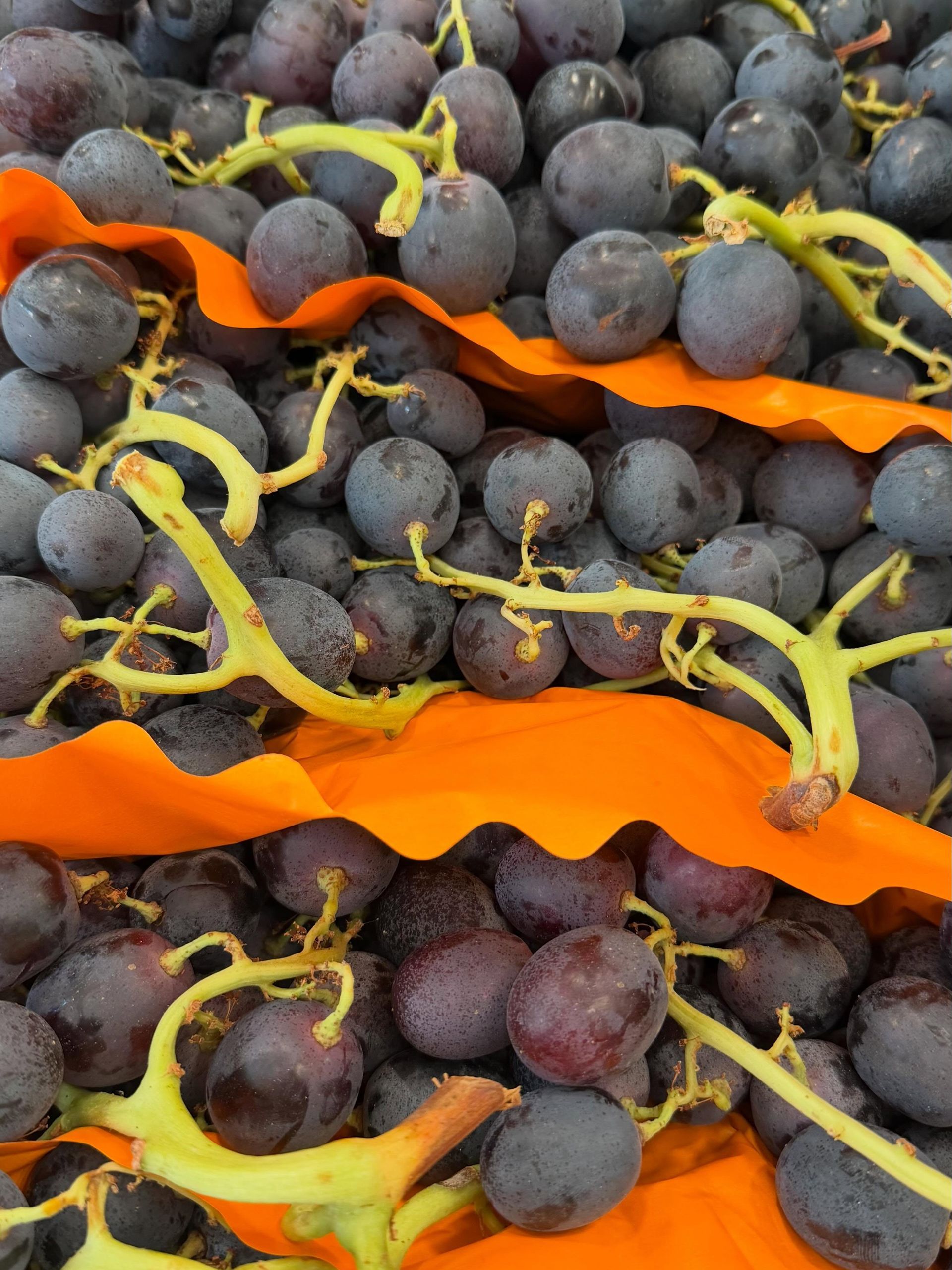 Dark grapes piled with orange ribbon woven through them