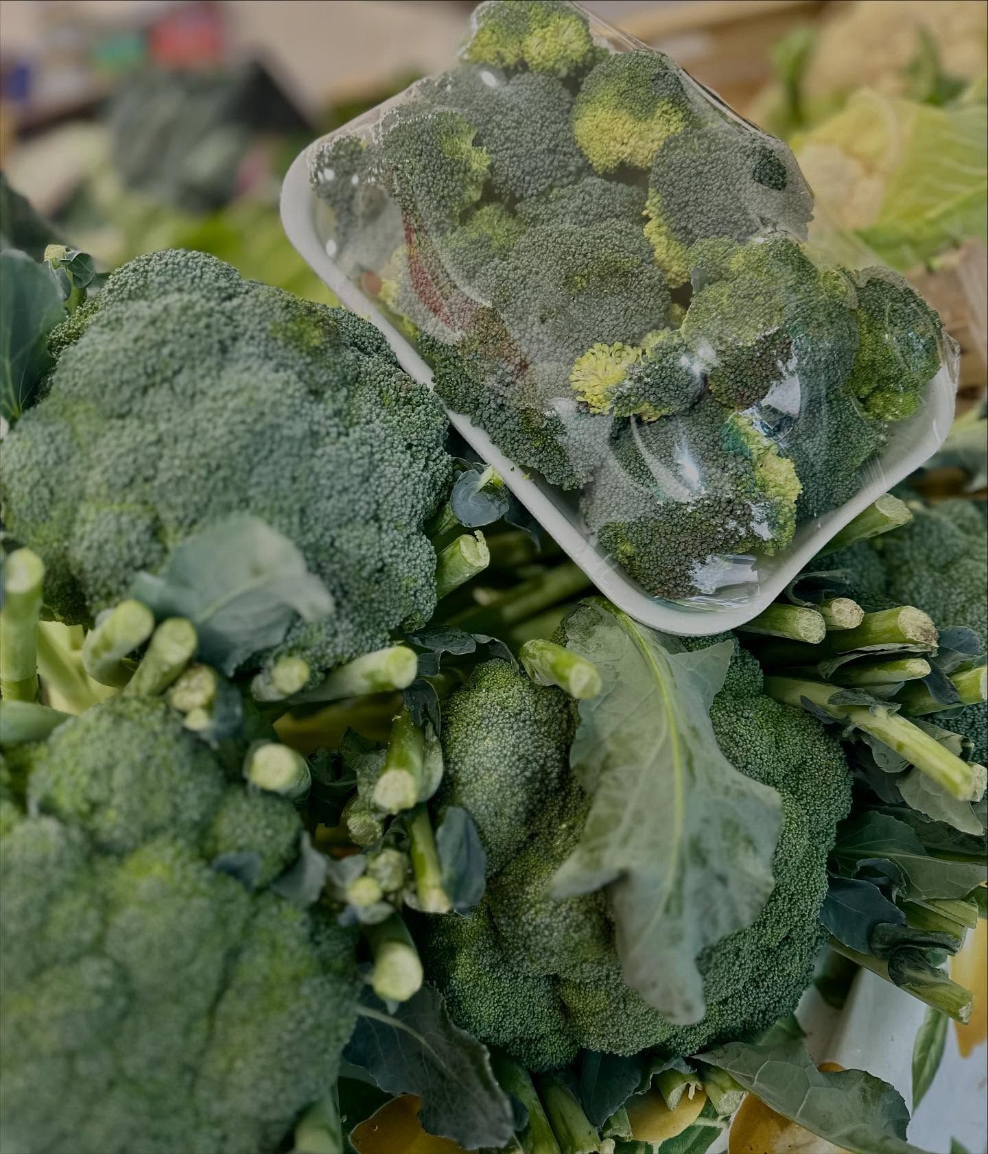 Fresh broccoli with blossoms in a small white tray on top of a larger pile, all covered in moisture or frost