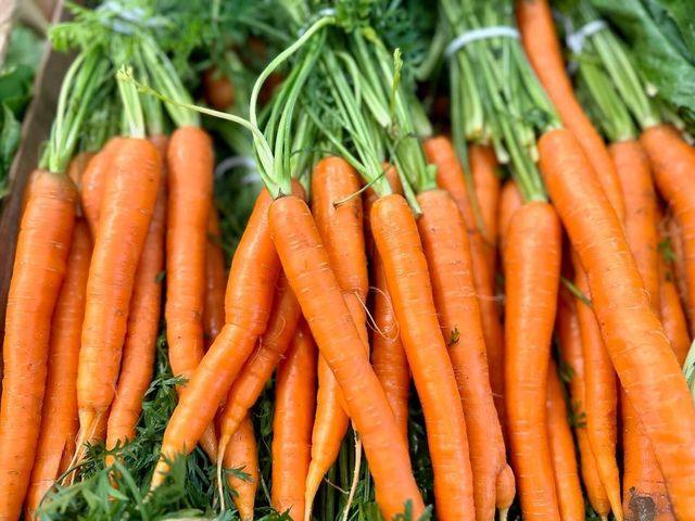 Fresh orange carrots with green tops arranged in a bunch