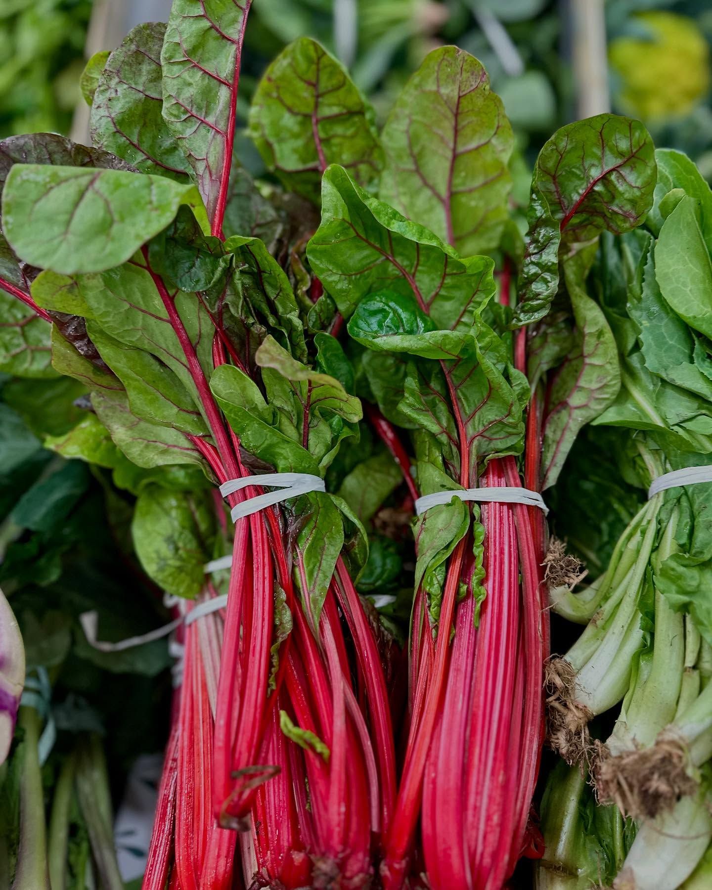 Bundles of red-stemmed leafy greens tied together at a market stall