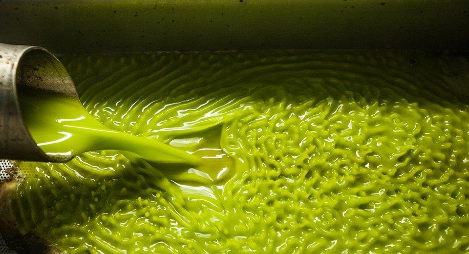Aziende agricole e frantoi