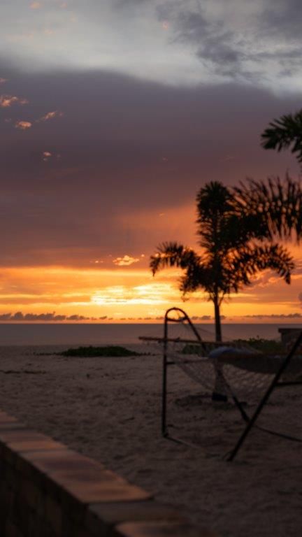 Sunset over a beach with silhouetted palm trees and lounge chairs under orange and purple sky