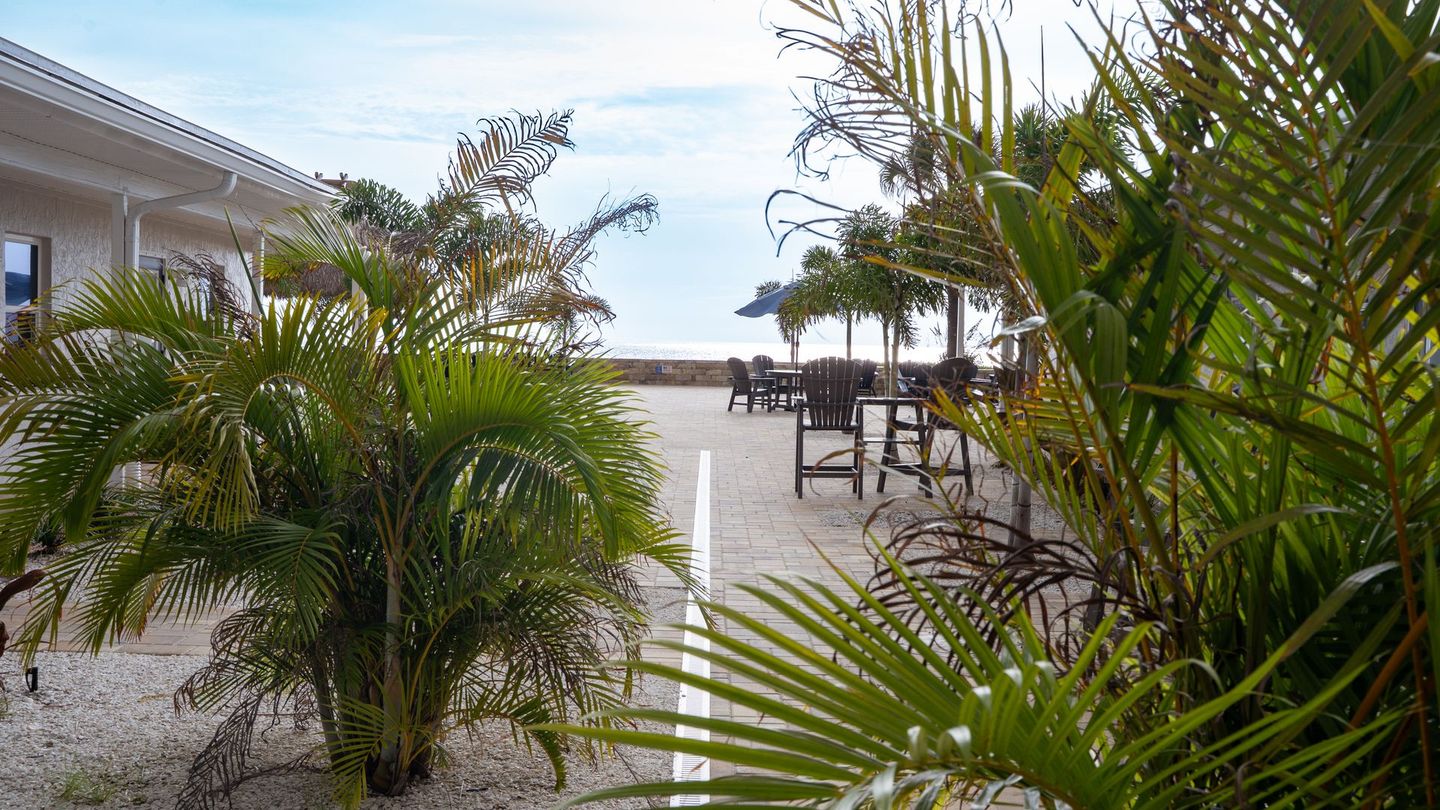 Tropical patio with palm plants, outdoor tables, and a view of the beach and ocean beyond