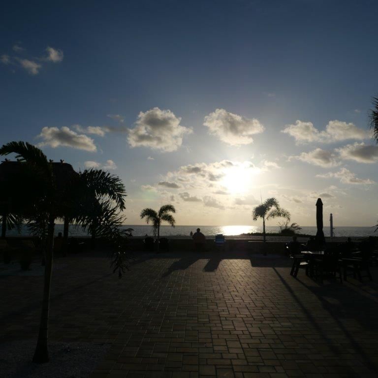 Sunset over a palm-lined seaside promenade with benches and a glowing horizon