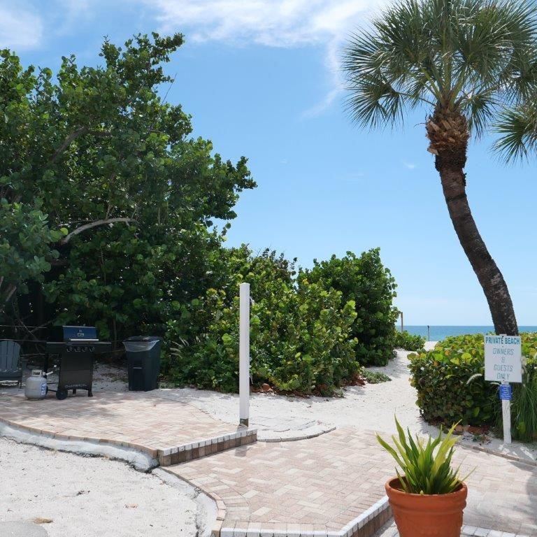 Sunlit beach walkway with palm trees, shrubs, pavers, and ocean visible in the distance