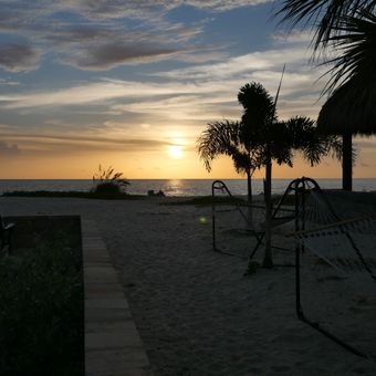 Sunset over a beach with palm trees, sand, and a hammock silhouette by the shore.