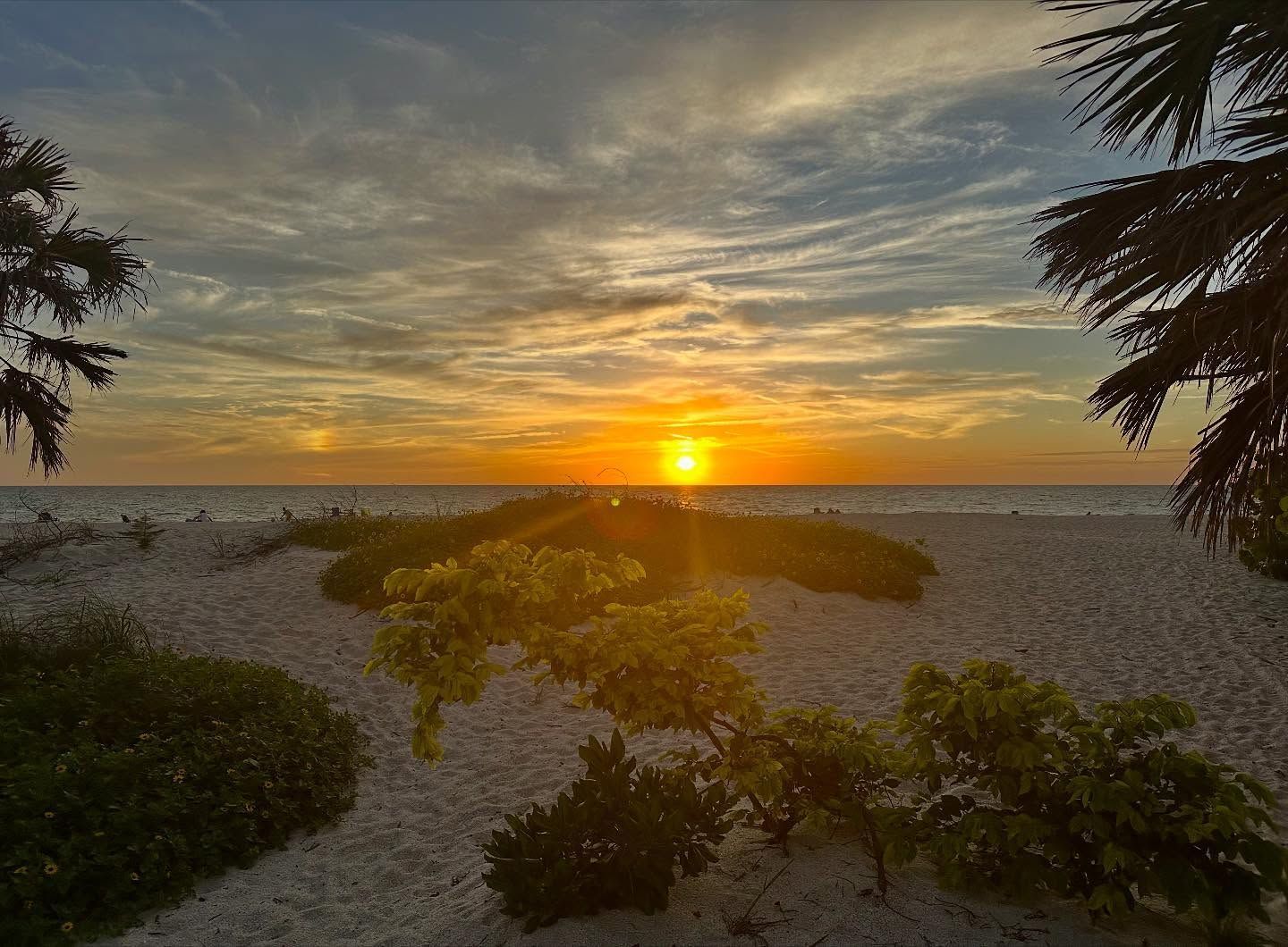 Sunset over ocean with golden sun, white sand beach, and palm trees.