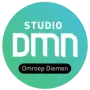 Logo Studio DMN