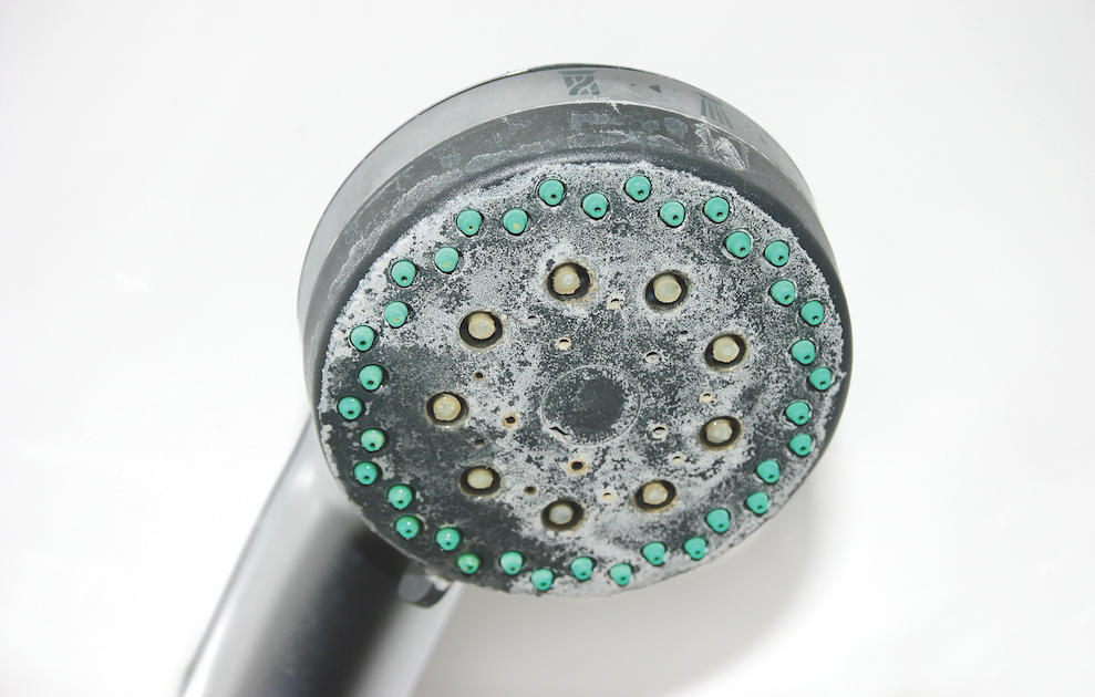 A close up of a dirty shower head on a white background.