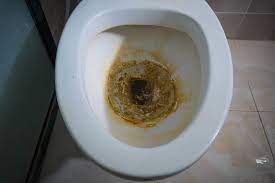 A close up of a dirty toilet in a bathroom.