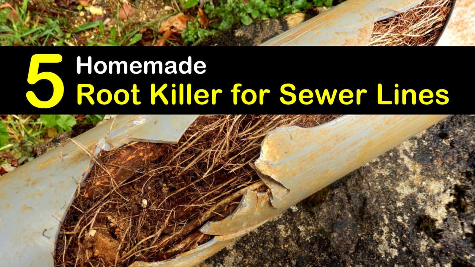 A picture of a root killer for sewer lines