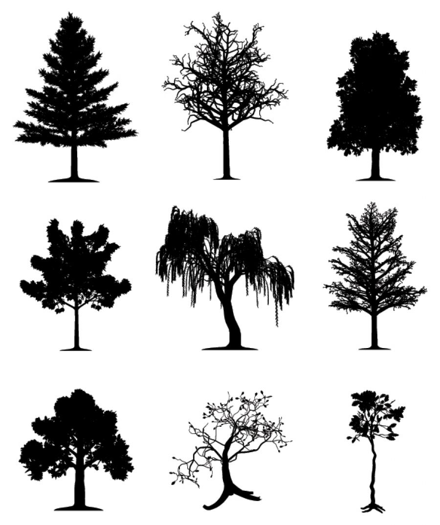 A set of silhouettes of different trees on a white background