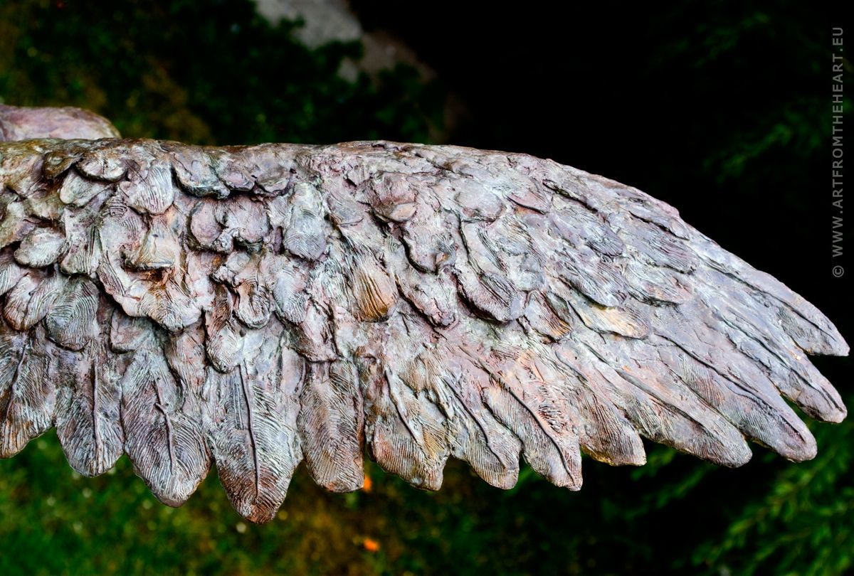 Bronzen buizerd vleugel