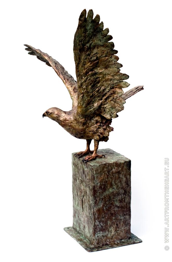 Bronzen buizerd