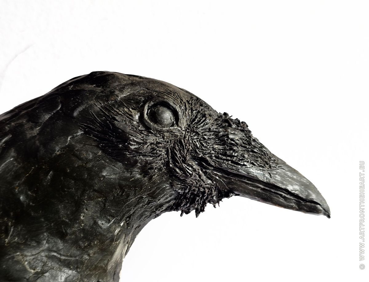 Ravenkop in was