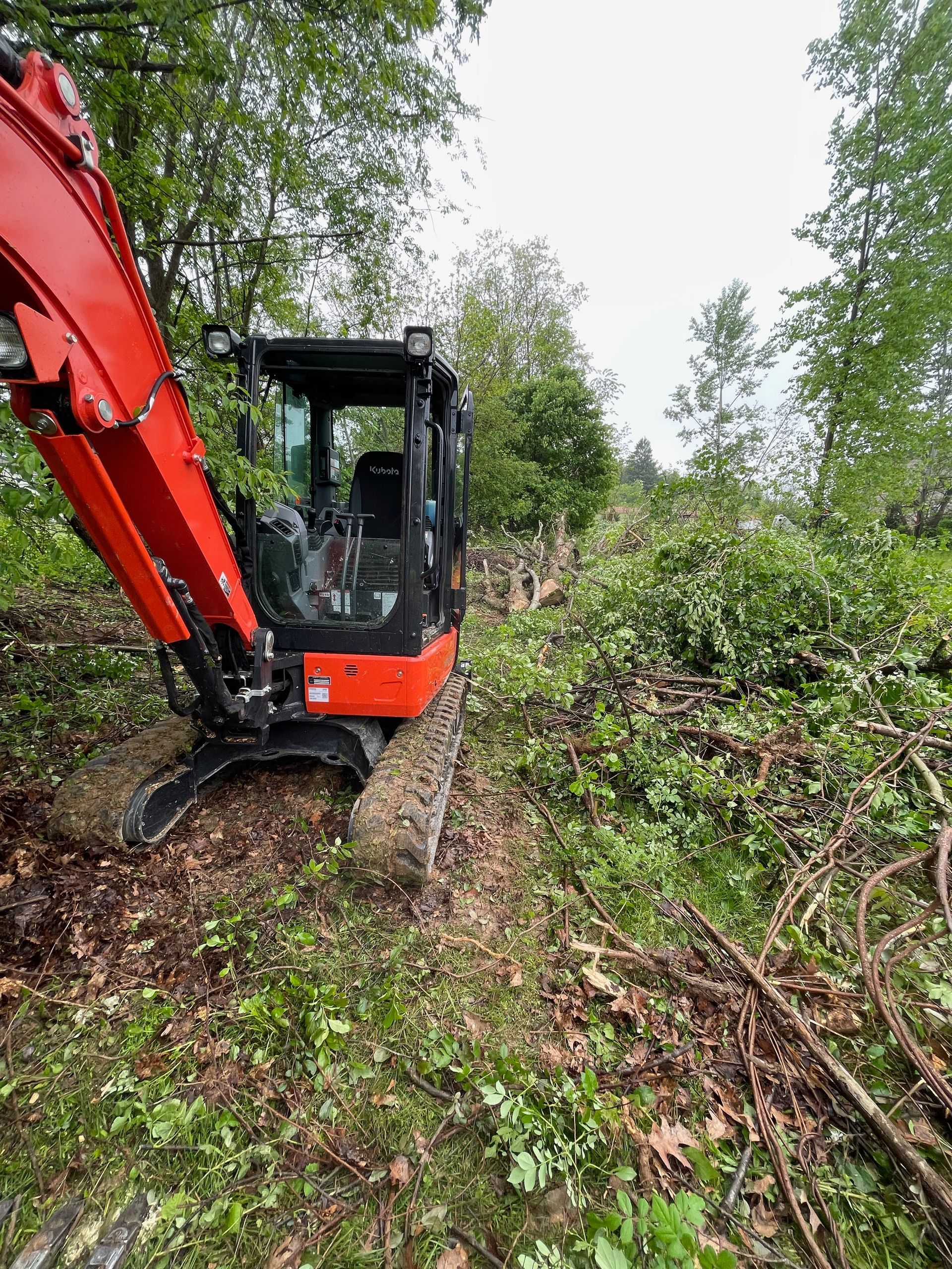A red excavator is driving through a lush green forest.