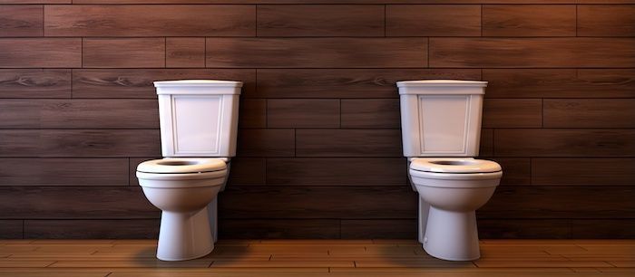 Picture of a toilet and a bidet on a wood floor in a restroom for an article: Southern MD Plumbers Clog Guide Picture of a toilet and a bidet on a wood floor in a restroom for an article: Southern MD Plumbers Clog Guide