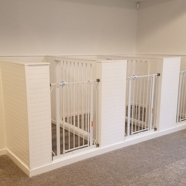 Indoor dog kennel area with three white stalls separated by white walls, each featuring a white metal safety gate.