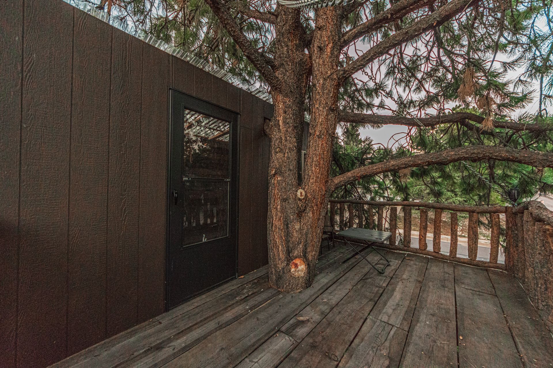 A wooden deck with a large tree growing through the floor, featuring a dark wall and a glass door on the left.