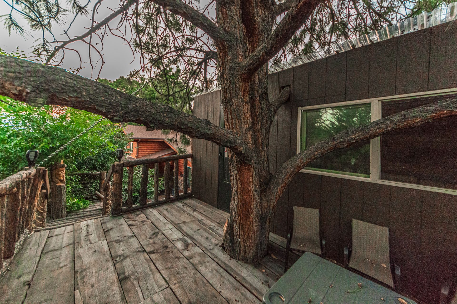 A large pine tree grows through a rustic wooden deck, featuring a railing, two chairs, and dark vertical wood siding.