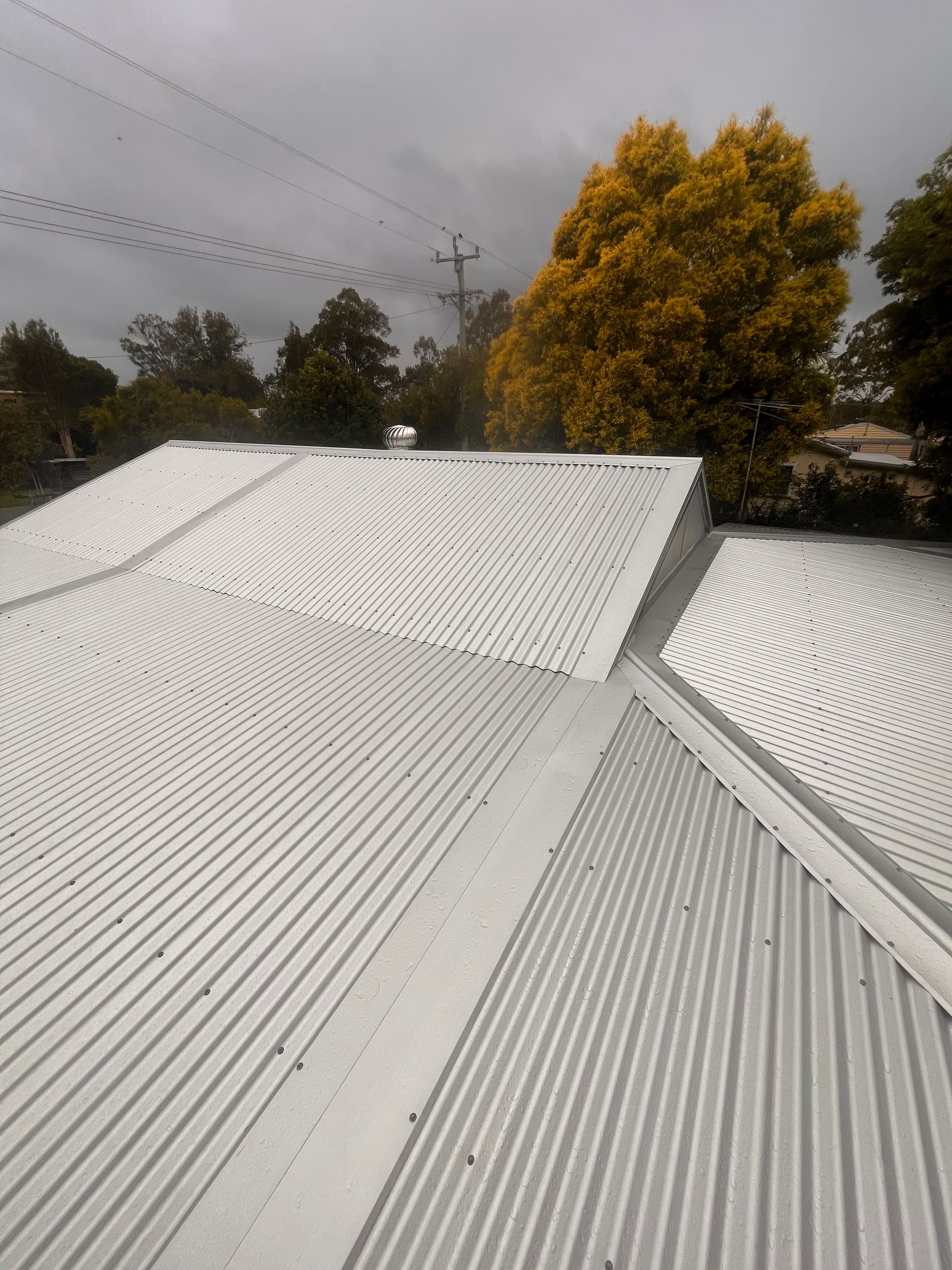 Silver corrugated metal roof with a yellow-leafed tree in the background under a cloudy sky— Eli Mcauley Constructions in Grafton, NSW