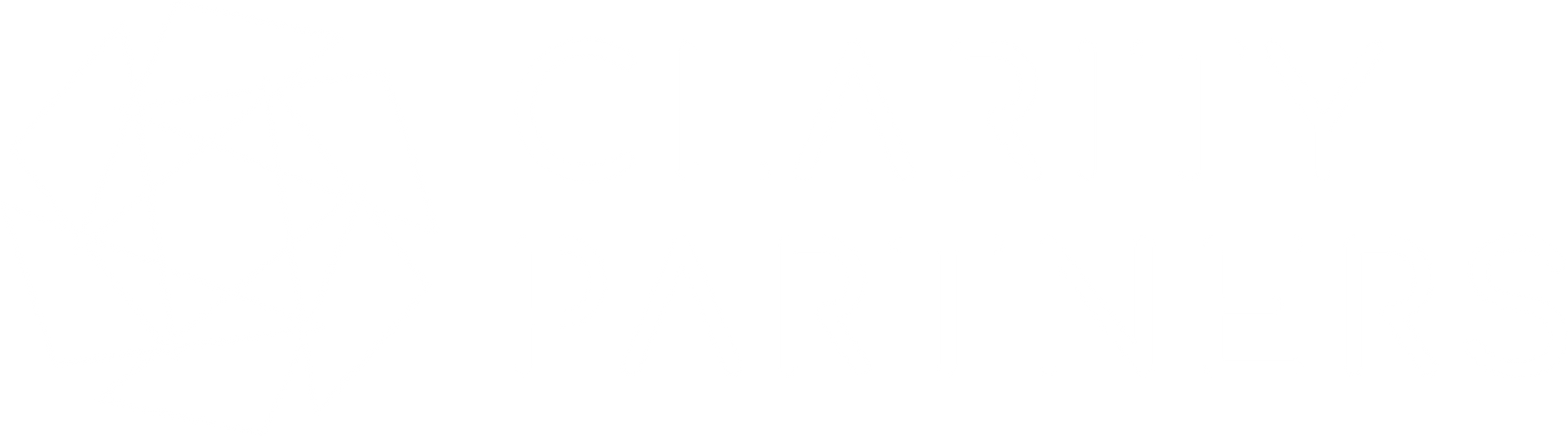 Mostly blank white image with a thin gray line across the middle